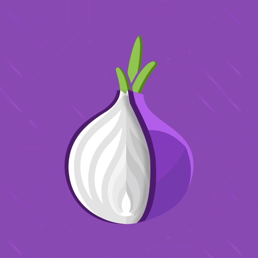 Private TOR Browser: TOR + VPN