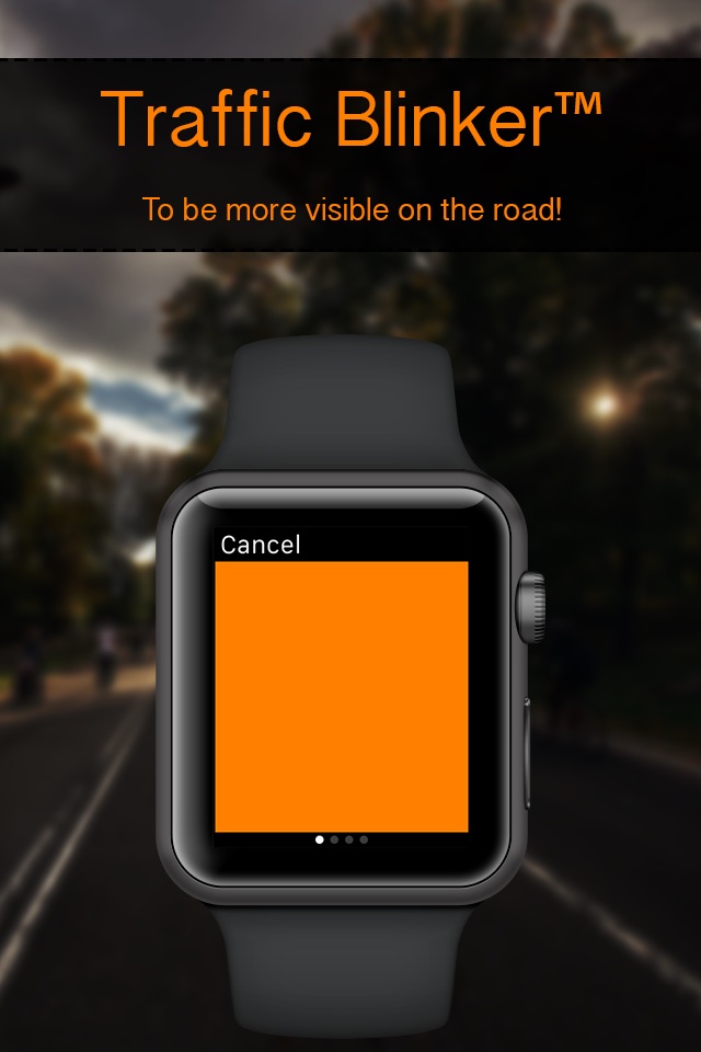 Traffic Blinker - Bicycle Tool screenshot 2