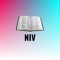 Icon Holy Bible NIV