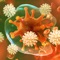 Find out and improve your information answering questions and learn new knowledge about human immune anatomy by our app