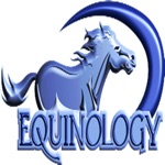 Equine Anatomy Learning Aid