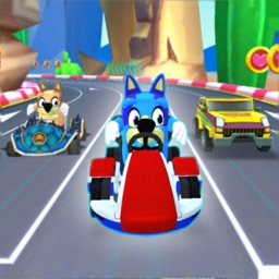Super Bluey Car Racing