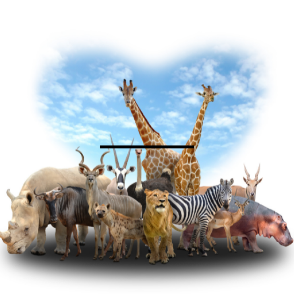 Get Popular Animal Sounds for Kids for iOS, iPhone, iPad Aso Report