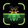 Icon Insect Identifier