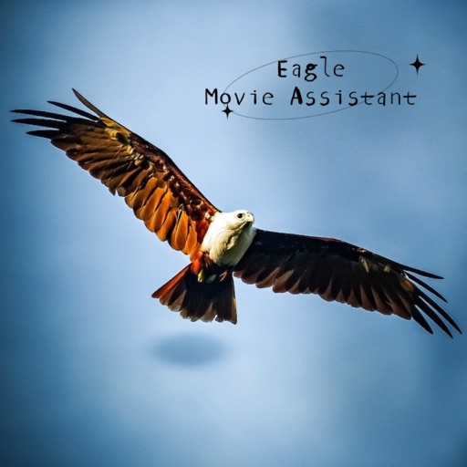 Eagle Movie Assistant