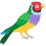 Tropical Birds, Plants, Flower App Positive Reviews