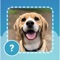 Icon Quiz guess all cute dog breeds