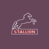 Motel Stallion