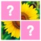 Icon Word Pics - Trivia Puzzles