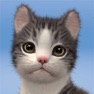 Get My Cat:Kitty Game Simulator for iOS, iPhone, iPad Aso Report