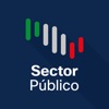 Conecta Sector Público