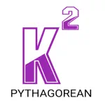 Pythagorean Theory Calculator App Problems