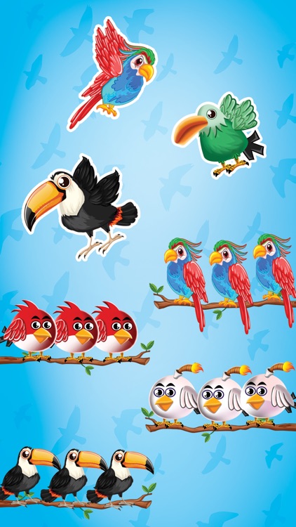 Bird Sort : Color Puzzle Games screenshot-7