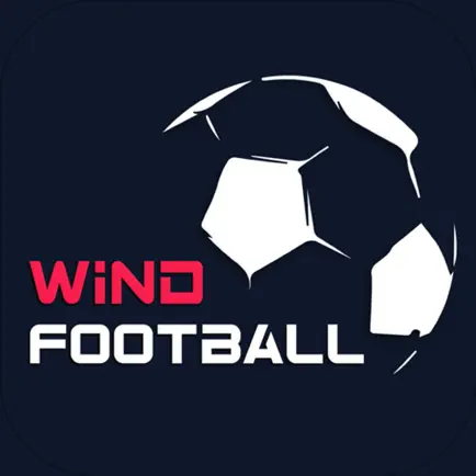 WindFootball Читы