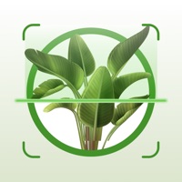  Plant App - Identifiant Plante Application Similaire