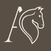 Audra Jewel Industry - AJIL