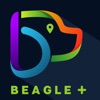 Beagleplus