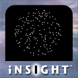 iNSIGHT Form and Motion