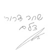 שחר דרורי