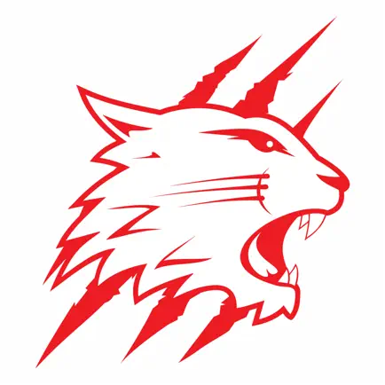 Swindon Wildcats Читы