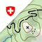 Icon swisstopo