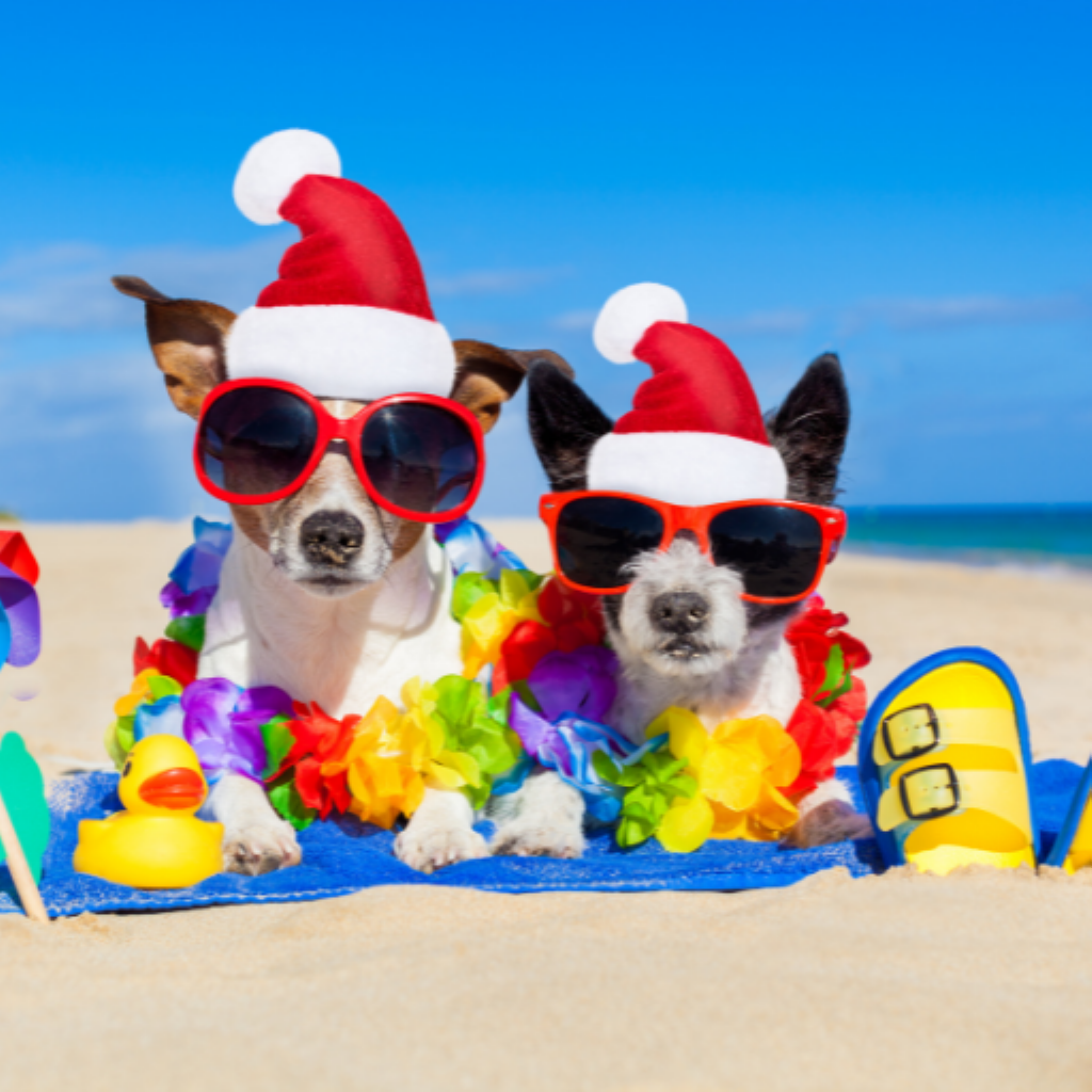 Get Meme Soundboard Pro Max for iOS, iPhone, iPad Aso Report