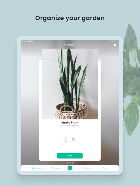 PlantIn: Plant Identifier PlantIn: Plant Identifier