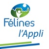 Félines l'Appli