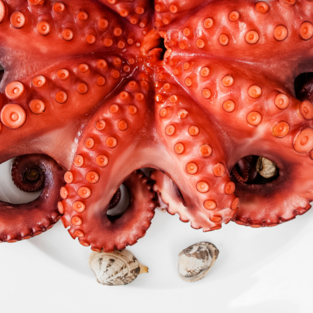 Get Healthy Seafood Recipes for iOS, iPhone, iPad Aso Report