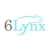 6 Lynx - Sound Healing