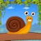 Think snails are slow and clumsy