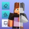 Icon Skins Editor 3D for Minecraft