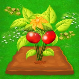 Tiny Garden – Gardening Game