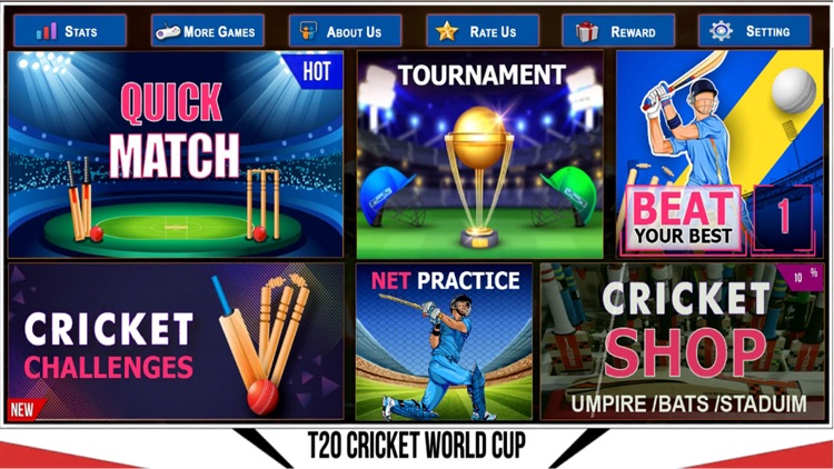 T20 Cricket World cup 2022 screenshot-3