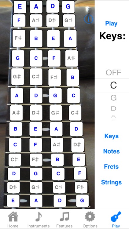 Bass Fretboard Addict screenshot-3