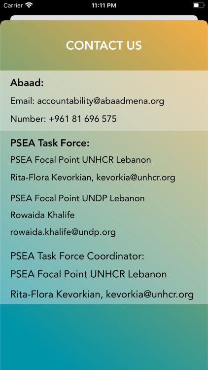 PSEA Lebanon screenshot-5