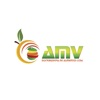 AMV Distribuidora