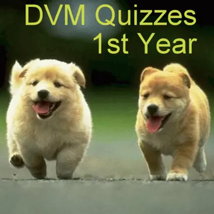 DVM 1st Yr - All Quizzes Читы