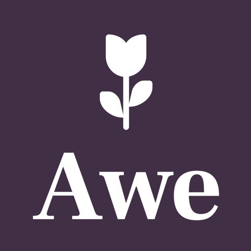 Awe: Mindful Nature Walks