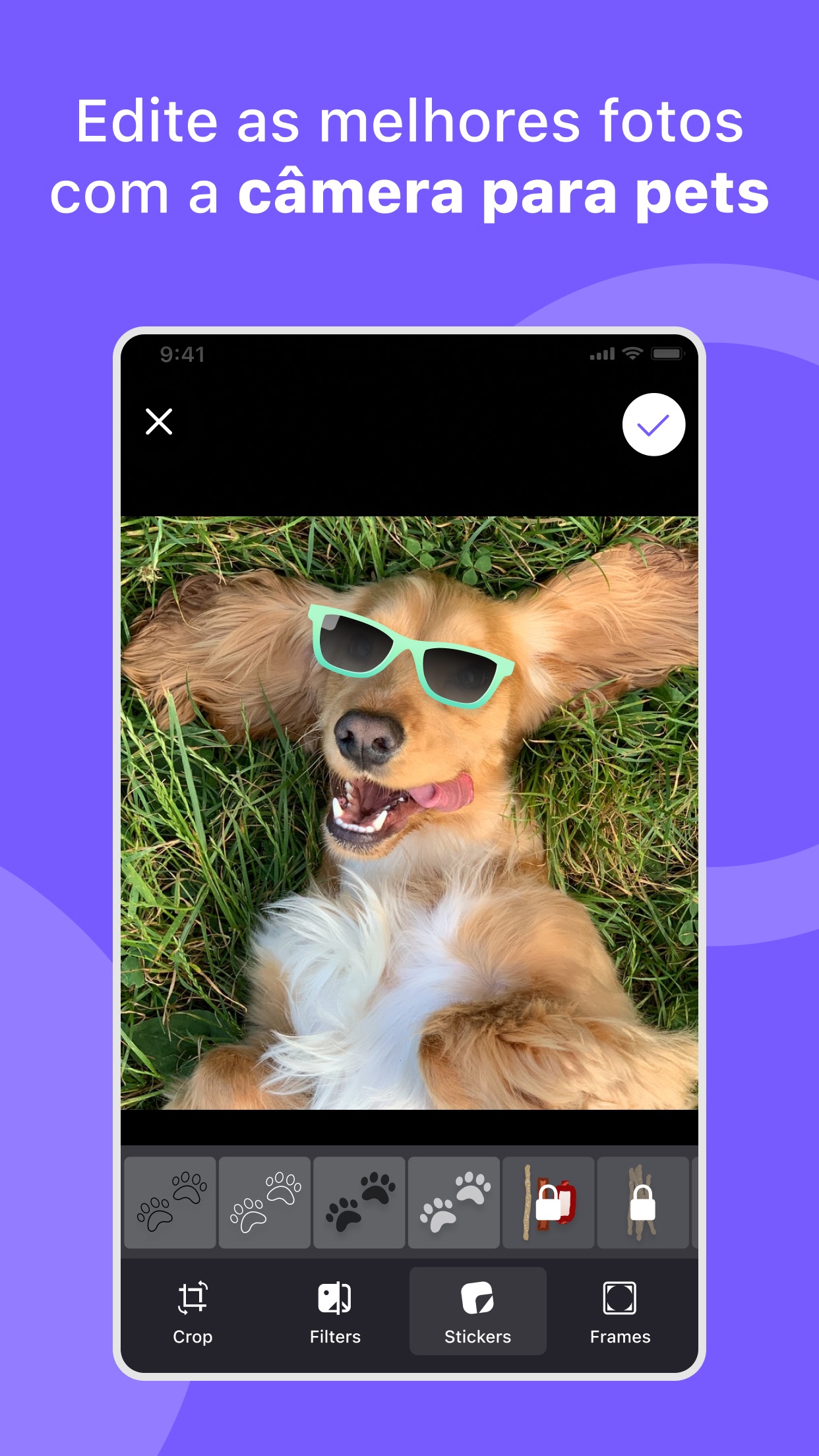 Screenshot do app Flockr - Bem estar para pets