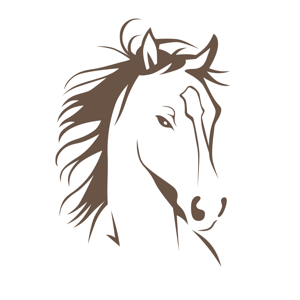 Get Jani Western for iOS, iPhone, iPad Aso Report