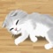 Icon Cat Pet