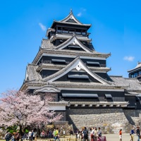 Japan Castle Blocks