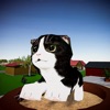 Virtual Cat Pet Games