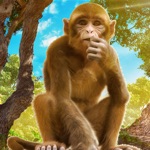 Naughty Monkey Prankster Games