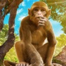 Get Monkey Simulator - City Life for iOS, iPhone, iPad Aso Report