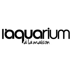 Aquarium à la maison