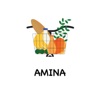 Amina grocery