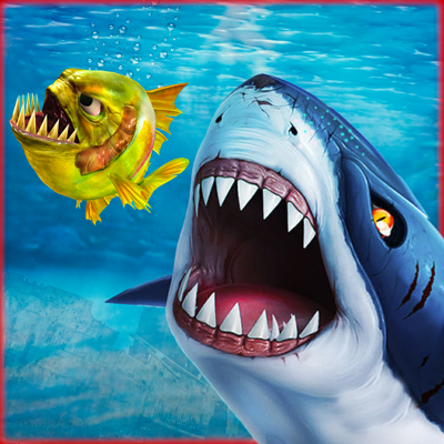 Shark Fish Evolution