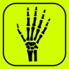 Kości dłoni - Quiz z anatomii